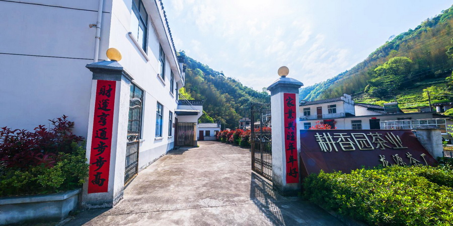 耕香园俏天红龙源茶厂（外景）