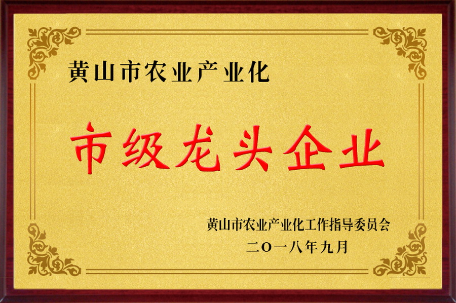 农业产业化龙头企业